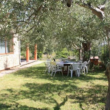 Il Melicucco