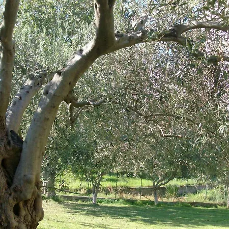Il Melicucco Furci Siculo