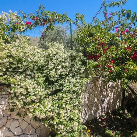Il Melicucco Villa