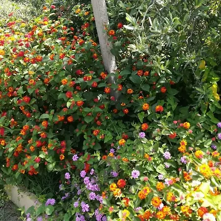 Villa Il Melicucco Furci Siculo